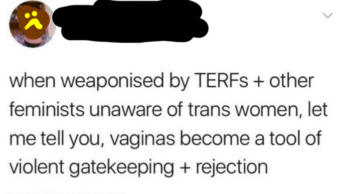 vaginas become a tool of gatekeeping and rejection